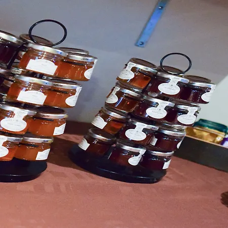 公寓式酒店 渣油姆豪斯中央酒店 3*